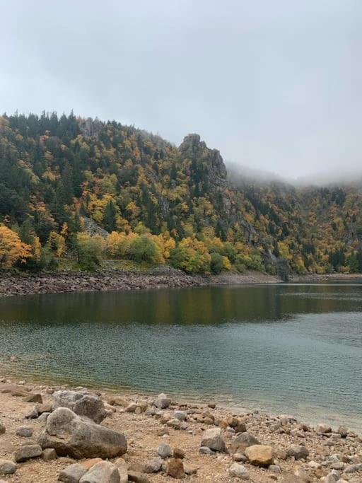 Le Belvedere Du Lac Blanc 奥尔贝 外观 照片